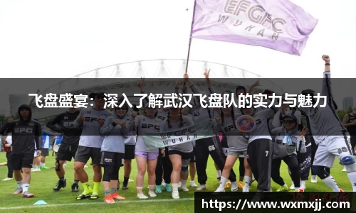 飞盘盛宴：深入了解武汉飞盘队的实力与魅力