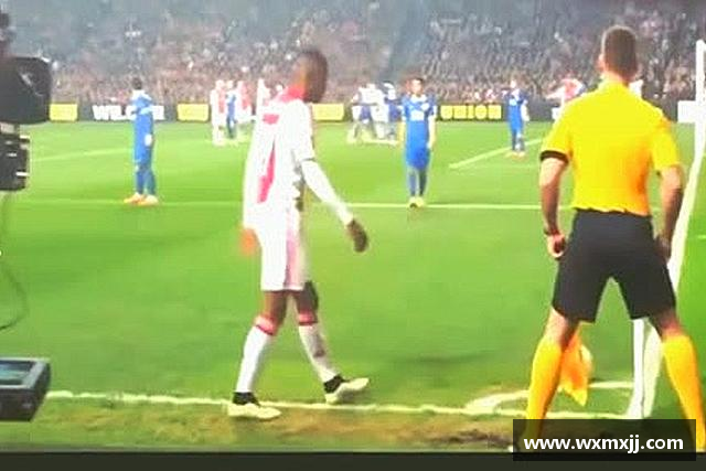 介绍韦德体育bevictor